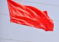 Red Flags in a Company